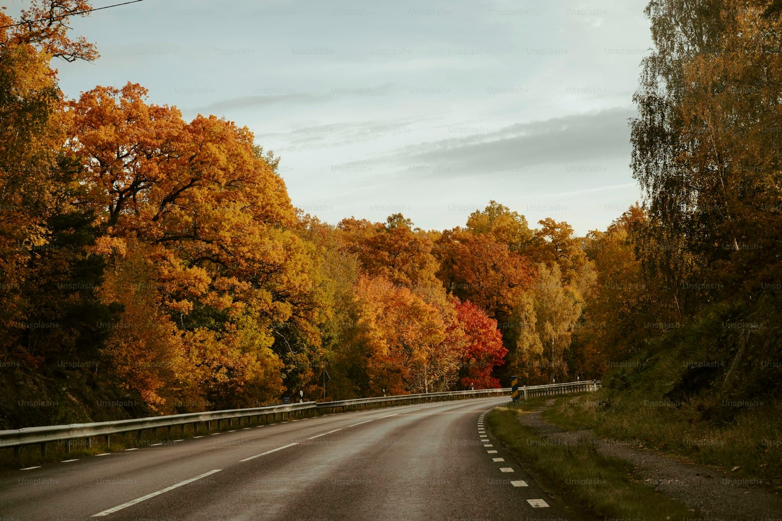 Seasonal — insurance-related stock photo